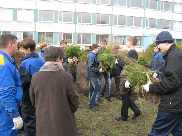 Возродим наш лес