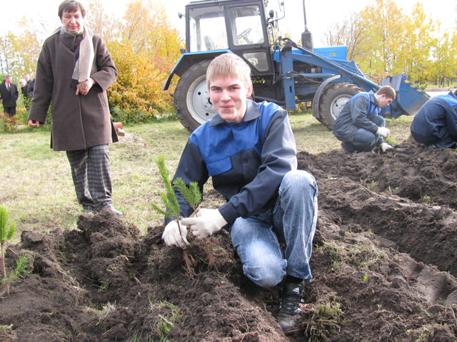 Возродим наш лес